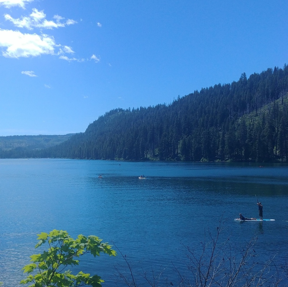 Meet your Posher, Kathy